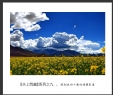 天上西藏--陈创业40载回顾摄影展(9)_在线影展的作品