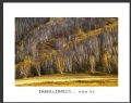 许庭相 作品(7)_许庭相的作品