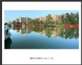 林惠兰 作品(9)_林惠兰的作品