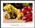 新会“国母诞旅游文化节”摄影作品欣赏(9)_在线影展的作品