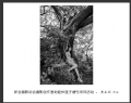 新会摄影协会摄影创作基地睦州莲子塘村采风活动作品欣赏(9)_在线影展的作品