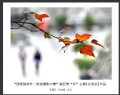 理想国旅杯―旅游摄影大赛”第四季比赛获奖作品欣赏(9)_在线影展的作品