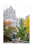 陈立文《首尔行之好色之途》摄影作品欣赏(30)_在线影展的作品