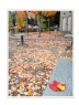 邝昭明《加拿大游记--枫叶的灿烂》摄影作品欣赏(3)_在线影展的作品