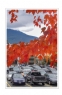 邝昭明《加拿大游记--枫叶的灿烂》摄影作品欣赏(4)_在线影展的作品