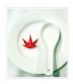 邝昭明《加拿大游记--枫叶的灿烂》摄影作品欣赏(20)_在线影展的作品