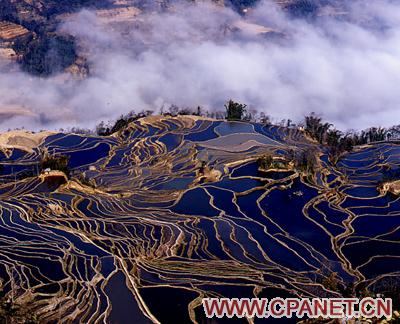 http://www.cpanet.cn/cms/upimg/userup/1209/2115133519A.jpg