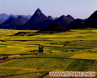 http://www.cpanet.cn/cms/upimg/userup/1209/2115140b951.jpg