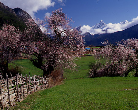 http://www.cpanet.cn/uploads/121128/82402-12112QJ12R33.jpg