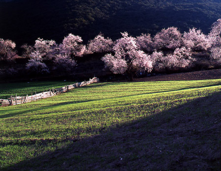 http://www.cpanet.cn/uploads/121128/82402-12112QJ542W0.jpg