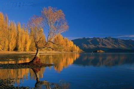 http://www.cpanet.cn/uploads/121128/82402-12112QK304E5.jpg