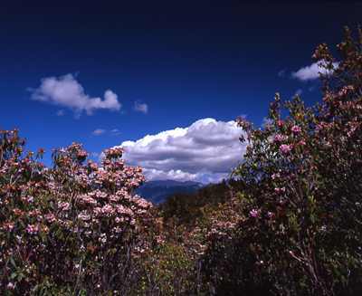 http://www.cpanet.cn/uploads/121128/82402-12112QK553121.jpg