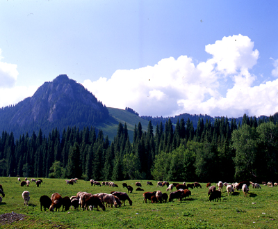 http://www.cpanet.cn/uploads/130123/82402-130123133504c0.jpg