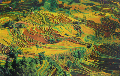 http://www.cpanet.cn/uploads/130123/82402-130123141414634.jpg